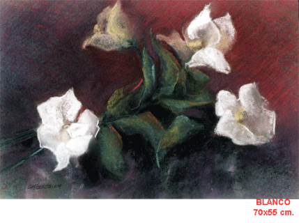 BLANCO